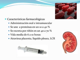  Características farmacológicas
    Administración oral e intramuscular
    Se une a proteínas en un 10 a 40 %
    Se excreta por riñón en un 40 a 70 %
    Vida media de 6 a 10 horas
    Atraviesa placenta, liquido pleura, LCR
 