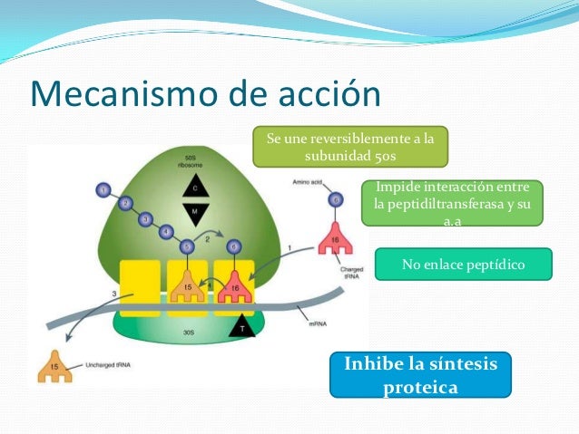 10 cosas sobre metabolismo insulina