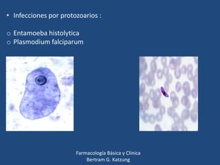 • Infecciones por protozoarios :

o Entamoeba histolytica
o Plasmodium falciparum

Farmacología Básica y Clínica
Bertram G. Katzung

 