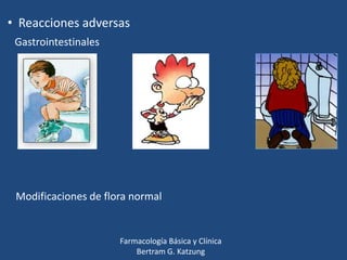 • Reacciones adversas
Gastrointestinales

Modificaciones de flora normal

Farmacología Básica y Clínica
Bertram G. Katzung

 
