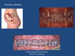Huesos y dientes

Farmacología Básica y Clínica
Bertram G. Katzung

 