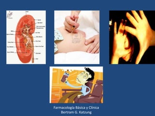 Farmacología Básica y Clínica
Bertram G. Katzung

 