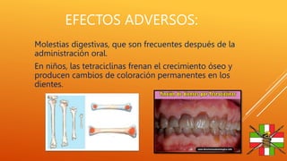 EFECTOS ADVERSOS:
Molestias digestivas, que son frecuentes después de la
administración oral.
En niños, las tetraciclinas ...