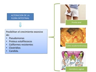 ALTERACION DE LA
FLORA INTESTINAL
Posibilitan el crecimiento excesivo
de:
• Pseudomonas
• Proteus estafilococos
• Coliformes resistentes
• Clostridios
• Candida.
Prurito anal
Colitis seudomenbranosa
clamidiosis vaginal
 