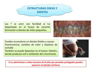 ESTRUCTURAS OSEAS Y
DIENTES
Las T se unen con facilidad al Ca
depositado en el hueso de reciente
formación o dientes de niños pequeños.
Pueden acumularse en dientes fetales y causar:
Fluorescencia, cambios de color y displasia de
esmalte
También se puede depositar en el hueso: Osteítis,
donde producen enf o inhibición del crecimiento.
Si se administran a niños menores de 8 años por periodos prologados pueden
aparecer resultados similares
 
