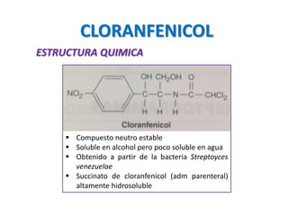 CLORANFENICOL
ESTRUCTURA QUIMICA
 Compuesto neutro estable
 Soluble en alcohol pero poco soluble en agua
 Obtenido a partir de la bacteria Streptoyces
venezuelae
 Succinato de cloranfenicol (adm parenteral)
altamente hidrosoluble
 