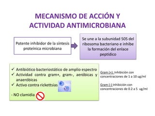 MECANISMO DE ACCIÓN Y
ACTIVIDAD ANTIMICROBIANA
Potente inhibidor de la síntesis
proteínica microbiana
Se une a la subunidad 50S del
ribosoma bacteriano e inhibe
la formación del enlace
peptídico
 Antibiótico bacteriostático de amplio espectro
 Actividad contra gram+, gram-, aeróbicas y
anaeróbicas
 Activo contra rickettsias
- NO clamidia
Gram (+): Inhibición con
concentraciones de 1 a 10 ug/ml
Gram (-) Inhibición con
concentraciones de 0.2 a 5 ug/ml
 