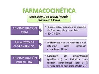 FARMACOCINÉTICA
DOSIS USUAL: 50-100 MG/KG/DÍA
dividida en 4 tomas
ADMINISTRACIÓN
ORAL
 Cloranfenicol cristalino se absorbe
de forma rápida y completa
 BD: 76-93%
PALMITATO DE
CLORANFENICOL
 Profármaco que se hidroliza en el
intestino para producir
cloranfenicol libre
ADMINISTRACIÓN
PARENTERAL
 Succinato de cloranfenicol
(profármaco) se hidroliza para
formar cloranfenicol libre y []
séricas menos que alncanzadas V.O
 