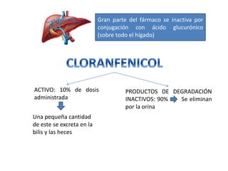 Gran parte del fármaco se inactiva por
conjugación con ácido glucurónico
(sobre todo el hígado)
ACTIVO: 10% de dosis
administrada
PRODUCTOS DE DEGRADACIÓN
INACTIVOS: 90% Se eliminan
por la orina
Una pequeña cantidad
de este se excreta en la
bilis y las heces
 