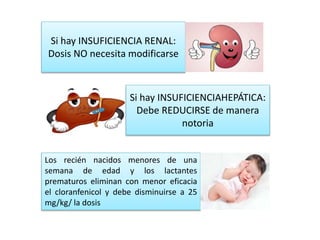 Si hay INSUFICIENCIA RENAL:
Dosis NO necesita modificarse
Si hay INSUFICIENCIAHEPÁTICA:
Debe REDUCIRSE de manera
notoria
Los recién nacidos menores de una
semana de edad y los lactantes
prematuros eliminan con menor eficacia
el cloranfenicol y debe disminuirse a 25
mg/kg/ la dosis
 