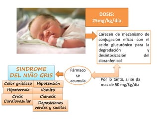DOSIS:
25mg/kg/día
Carecen de mecanismo de
conjugación eficaz con el
acido glucurónico para la
degradación y
desintoxicación del
cloranfenicol
Por lo tanto, si se da
mas de 50 mg/kg/día
Fármaco
se
acumula
SINDROME
DEL NIÑO GRIS
Color grisáceo
Hipotermia Vomito
Hipotensión
Crisis
Cardiovasular
Cianosis
Deposiciones
verdes y sueltas
 