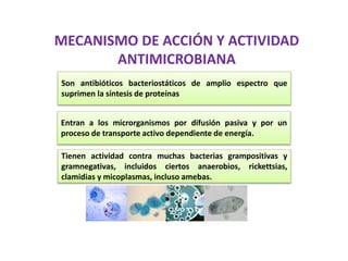 MECANISMO DE ACCIÓN Y ACTIVIDAD
ANTIMICROBIANA
Son antibióticos bacteriostáticos de amplio espectro que
suprimen la síntesis de proteínas
Entran a los microrganismos por difusión pasiva y por un
proceso de transporte activo dependiente de energía.
Tienen actividad contra muchas bacterias grampositivas y
gramnegativas, incluidos ciertos anaerobios, rickettsias,
clamidias y micoplasmas, incluso amebas.
 