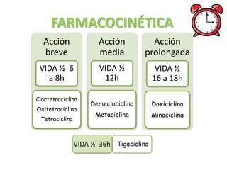 FARMACOCINÉTICA
Acción
breve
VIDA ½ 6
a 8h
Clortetraciclina
Oxitetraciclina
Tetraciclina
Acción
media
VIDA ½
12h
Demeclociclina
Metaciclina
Acción
prolongada
VIDA ½
16 a 18h
Doxiciclina
Minociclina
TigeciclinaVIDA ½ 36h
 