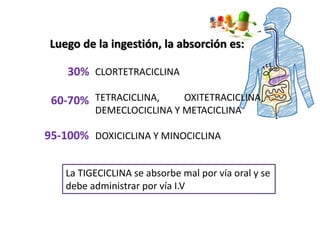 Luego de la ingestión, la absorción es:
CLORTETRACICLINA
TETRACICLINA, OXITETRACICLINA,
DEMECLOCICLINA Y METACICLINA
DOXICICLINA Y MINOCICLINA
30%
60-70%
95-100%
La TIGECICLINA se absorbe mal por vía oral y se
debe administrar por vía I.V
 
