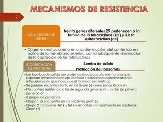 treinta genes diferentes 29 pertenecen a la
familia de la tetraciclinas (TET) y 3 a la
oxitetraciclina (otr)
ADQUISICIÓN DE
GENES
• Origen en mutaciones o en una disminución del contenido en
porina de la membrana exterior, con la subsiguiente disminución
de la captación de las tetraciclinas
Bomba de salida
Protección de ribosomas
CODIFICACIÓN
DE PROTEINAS
•Las bombas de salida son proteínas asociadas a la membrana que
expulsan tetraciclinas desde la célula : reducen las concentraciones
intracelulares lo que hace que el fármaco sea ineficaz
•Se pueden encontrar tanto en las Gram (-) como en las Gram (+)
•No confiere resistencia a las de segunda generación, si a las de primera
generación
•6 grupos de proteínas
•Grupo 1 se encuentra en las bacterias gram (-)
•Grupo 2 comprene Tet k y tet L y se hallan principalmente en bacterias
Gram (+)
7
 