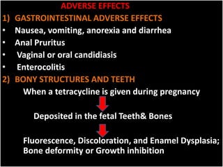 ADVERSE EFFECTS
1) GASTROINTESTINAL ADVERSE EFFECTS
• Nausea, vomiting, anorexia and diarrhea
• Anal Pruritus
• Vaginal or oral candidiasis
• Enterocolitis
2) BONY STRUCTURES AND TEETH
When a tetracycline is given during pregnancy
Deposited in the fetal Teeth& Bones
Fluorescence, Discoloration, and Enamel Dysplasia;
Bone deformity or Growth inhibition
 