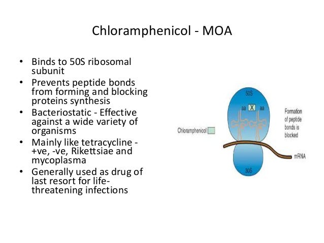 maxalt mlt mechanism of action