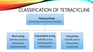 CLASSIFICATION OF TETRACYCLINE
Tetracyclines
)(according to the during of action
Short-acting
half( -life is 6-8 hrs)
Tetracycline
chlortetracycline
Intermediate-acting
(half-life 12 hrs)
Demeclocycline
methacycline
Long-acting
(half-life 16 hrs)
Doxycycline
minocycline
 