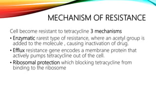 MECHANISM OF RESISTANCE
Cell become resistant to tetracycline 3 mechanisms
• Enzymatic rarest type of resistance, where an acetyl group is
added to the molecule , causing inactivation of drug.
• Efflux resistance gene encodes a membrane protein that
actively pumps tetracycline out of the cell.
• Ribosomal protection which blocking tetracycline from
binding to the ribosome
 
