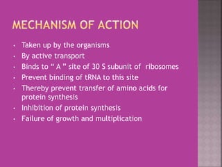 • Taken up by the organisms
• By active transport
• Binds to “ A ” site of 30 S subunit of ribosomes
• Prevent binding of tRNA to this site
• Thereby prevent transfer of amino acids for
protein synthesis
• Inhibition of protein synthesis
• Failure of growth and multiplication
 