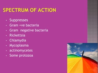 • Suppresses
• Gram +ve bacteria
• Gram negative bacteria
• Rickettsia
• Chlamydia
• Mycoplasma
• actinomycetes
• Some protozoa
 