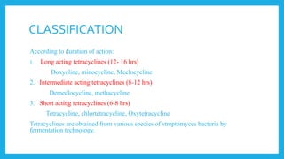 CLASSIFICATION
According to duration of action:
1. Long acting tetracyclines (12- 16 hrs)
Doxycline, minocycline, Meclocycline
2. Intermediate acting tetracyclines (8-12 hrs)
Demeclocycline, methacycline
3. Short acting tetracyclines (6-8 hrs)
Tetracycline, chlortetracycline, Oxytetracycline
Tetracyclines are obtained from various species of streptomyces bacteria by
fermentation technology.
 