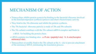 MECHANISM OF ACTION
• Tetracyclines inhibit protein syntesis by binding to the bacterial ribosome involved
in the translation(protein synthesis) process and shows bacteriostatic activity.
• They bind to the 30s ribosome and inhibit the protein synthesis.
• The 70s bacterial ribosome particle is made of 30s and 50s subunits.
• The 50s subunit combines with the 30s subunit-mRNA complex and binds to
t-RNA for building the protein chain.
• t-RNA contains two binding sites . a. P-site (peptidyl site) b. A-site(Acceptor
aminoacyl site).
• Tetracyclines reversibly bind to the 30s subunit at the A –site to prevent attachment
of the aminoacyl tRNA ,terminating the translation process.
 