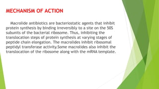 MECHANISM OF ACTION
Macrolide antibiotics are bacteriostatic agents that inhibit
protein synthesis by binding irreversibly to a site on the 50S
subunits of the bacterial ribosome. Thus, inhibiting the
translocation steps of protein synthesis at varying stages of
peptide chain elongation. The macrolides inhibit ribosomal
peptidyl transferase activity.Some macrolides also inhibit the
translocation of the ribosome along with the mRNA template.
 