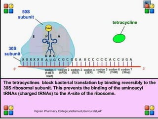 Vignan Pharmacy College,Vadlamudi,Guntur.dst,AP
22
 