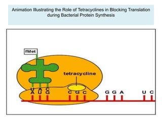 Animation Illustrating the Role of Tetracyclines in Blocking Translation
during Bacterial Protein Synthesis
 