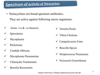  Gram +ve & -ve bacteria
 Spirochetes
 Mycoplasms
 Rickettsiae
 Candida Albicans
 Mycoplasma Pneumoniae
 Chlamydia Trachomatis
 Borrelia Recurrentis
 Yersinia Pestis
 Vibrio Cholerae
 Campylavacter Fetus
 Brucella Specie
 Streptococcus Pneumonia
 Neisseerie Gonorrhoeae
Vignan Pharmacy College,Vadlamudi,Guntur.dst,AP
24
• Tetracyclines are broad spectrum antibiotics.
They are active against following micro organisms:
 
