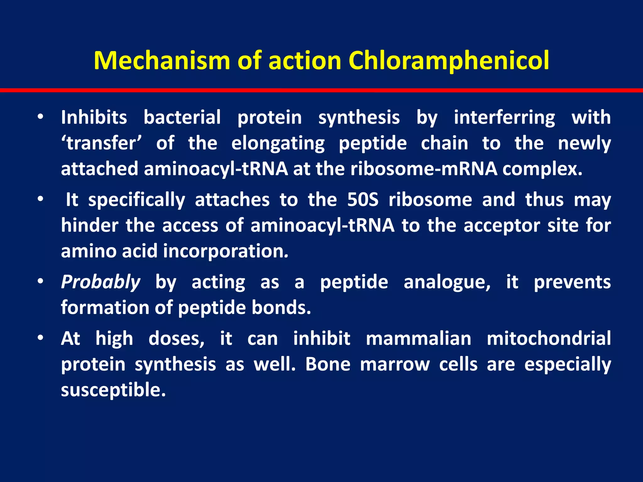 Mechanism of action Chloramphenicol
• Inhibits bacterial protein synthesis by interferring with
‘transfer’ of the elongating peptide chain to the newly
attached aminoacyl-tRNA at the ribosome-mRNA complex.
• It specifically attaches to the 50S ribosome and thus may
hinder the access of aminoacyl-tRNA to the acceptor site for
amino acid incorporation.
• Probably by acting as a peptide analogue, it prevents
formation of peptide bonds.
• At high doses, it can inhibit mammalian mitochondrial
protein synthesis as well. Bone marrow cells are especially
susceptible.
 