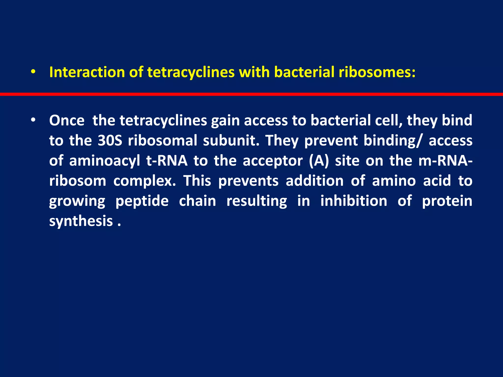 • Interaction of tetracyclines with bacterial ribosomes:
• Once the tetracyclines gain access to bacterial cell, they bind
to the 30S ribosomal subunit. They prevent binding/ access
of aminoacyl t-RNA to the acceptor (A) site on the m-RNA-
ribosom complex. This prevents addition of amino acid to
growing peptide chain resulting in inhibition of protein
synthesis .
 