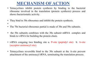 MECHANISM OF ACTION
• Tetracyclines inhibit protein synthesis by binding to the bacterial
ribosome involved in the translation (protein synthesis) process and
shows bacteriostatic activity.
• They bind to 30s ribosomes and inhibit the protein synthesis.
•
• The 70s bacterial ribosomes partial is made of 30s and 50s subunits.
• the 50s subunits combines with the 30s subunit mRNA complex and
binds to t-RNA for building the protein chain.
• t-RNA congaing two binding site a. P-site (peptidyl site) b. A-site
(acceptor aminoacyl site).
• Tetracyclines reversible bind to the 30s subunit at the A-site prevent
attachment of the aminoacyl tRNA, terminating the translation process.
 