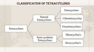 Classification of Tetracyclines
Tetracyclines
Natural
Tetracyclines
Tetracyclines
Chlortetracycline
Oxytetracyclines
Semi synthetic
Tetracyclines
Minocycline's
Doxycycline's
 
