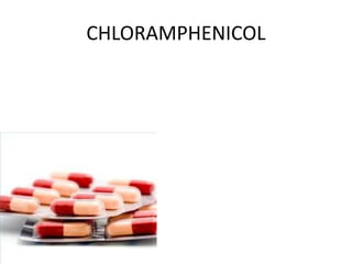 CHLORAMPHENICOL
 