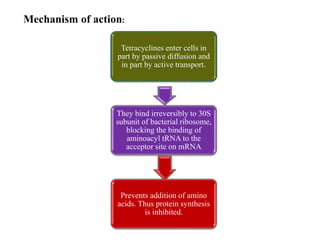 Mechanism of action:
Tetracyclines enter cells in
part by passive diffusion and
in part by active transport.
They bind irreversibly to 30S
subunit of bacterial ribosome,
blocking the binding of
aminoacyl tRNA to the
acceptor site on mRNA
Prevents addition of amino
acids. Thus protein synthesis
is inhibited.
 