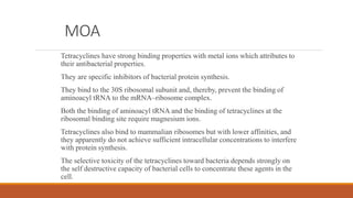 MOA
Tetracyclines have strong binding properties with metal ions which attributes to
their antibacterial properties.
They are specific inhibitors of bacterial protein synthesis.
They bind to the 30S ribosomal subunit and, thereby, prevent the binding of
aminoacyl tRNA to the mRNA–ribosome complex.
Both the binding of aminoacyl tRNA and the binding of tetracyclines at the
ribosomal binding site require magnesium ions.
Tetracyclines also bind to mammalian ribosomes but with lower affinities, and
they apparently do not achieve sufficient intracellular concentrations to interfere
with protein synthesis.
The selective toxicity of the tetracyclines toward bacteria depends strongly on
the self destructive capacity of bacterial cells to concentrate these agents in the
cell.
 
