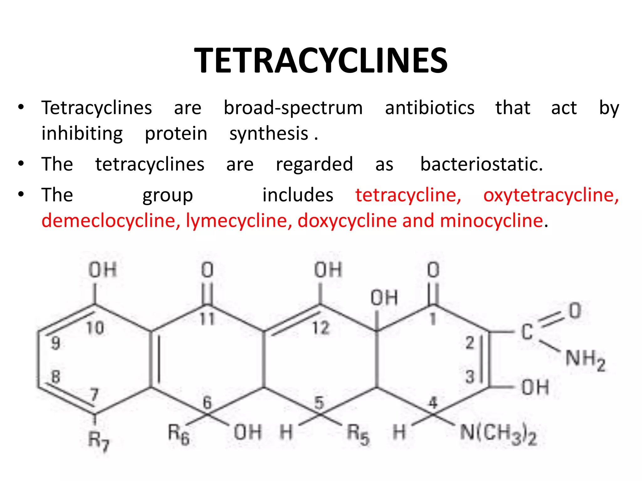 Tetracyclines, Aminoglycosides, Chloramphenicol, Macrolides | PPTX