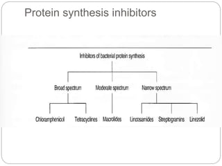 Protein synthesis inhibitors
 
