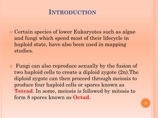 INTRODUCTION
 Certain species of lower Eukaryotes such as algae
and fungi which spend most of their lifecycle in
haploid state, have also been used in mapping
studies.
 Fungi can also reproduce sexually by the fusion of
two haploid cells to create a diploid zygote (2n).The
diploid zygote can then proceed through meiosis to
produce four haploid cells or spores known as
Tetrad. In some, meiosis is followed by mitosis to
form 8 spores known as Octad.
3
 