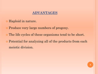 ADVANTAGES
 Haploid in nature.
 Produce very large numbers of progeny.
 The life cycles of these organisms tend to be short.
 Potential for analyzing all of the products from each
meiotic division.
6
 
