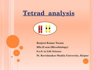 Tetrad analysis
Ranjeet Kumar Taram
MSc.II sem (Microbiology)
S.o.S. in Life Science
Pt. Ravishankar Shukla University, Raipur
1
 