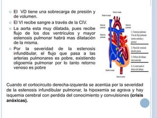 





El VD tiene una sobrecarga de presión y
de volumen.
El VI recibe sangre a través de la CIV.
La aorta esta muy dilatada, pues recibe
flujo de los dos ventrículos y mayor
estenosis pulmonar habrá mas dilatación
de la misma.
Por la severidad de la estenosis
infundibular, el flujo que pasa a las
arterias pulmonares es pobre, existiendo
oligoemia pulmonar por lo tanto retorno
venoso es pobre

Cuando el cortocircuito derecha-izquierda se acentúa por la severidad
de la estenosis infundibular pulmonar, la hipoxemia se agrava y hay
isquemia cerebral con perdida del conocimiento y convulsiones (crisis
anóxicas).

 