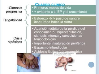 Cianosis
progresiva
Fatigabilidad

Crisis
hipóxicas

CUADRO CLÍNICO

• Primeros meses de vida
• + evidente x la EP y el crecimiento
• Esfuerzo  > paso de sangre
insaturada hacia la Aorta
• Aparición súbita de la pérdida del
conocimiento , hiperventilación,
cianosis intensa y convulsiones
tonicoclónicas.
• Importante insaturación periférica
• Espasmo infundibular
• Acidosis láctica (vía anaerobia)

 