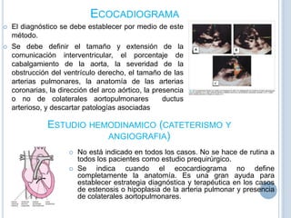 ECOCADIOGRAMA


El diagnóstico se debe establecer por medio de este
método.



Se debe definir el tamaño y extensión de la
comunicación interventricular, el porcentaje de
cabalgamiento de la aorta, la severidad de la
obstrucción del ventrículo derecho, el tamaño de las
arterias pulmonares, la anatomía de las arterias
coronarias, la dirección del arco aórtico, la presencia
o no de colaterales aortopulmonares
ductus
arterioso, y descartar patologías asociadas

ESTUDIO HEMODINAMICO (CATETERISMO Y
ANGIOGRAFIA)



No está indicado en todos los casos. No se hace de rutina a
todos los pacientes como estudio prequirúrgico.
Se indica cuando el ecocardiograma no define
completamente la anatomía. Es una gran ayuda para
establecer estrategia diagnóstica y terapéutica en los casos
de estenosis o hipoplasia de la arteria pulmonar y presencia
de colaterales aortopulmonares.

 