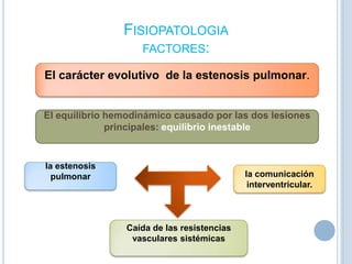 FISIOPATOLOGIA
FACTORES:
El carácter evolutivo de la estenosis pulmonar.

El equilibrio hemodinámico causado por las dos lesiones
principales: equilibrio inestable

la estenosis
pulmonar

la comunicación
interventricular.

Caída de las resistencias
vasculares sistémicas

 
