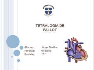 TETRALOGIA DE
FALLOT

Alumno:

Jorge Guallpa

Facultad:

Medicina

Paralelo:

“C”

 