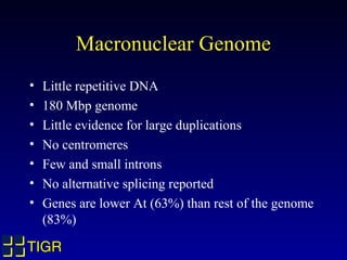 Macronuclear Genome
•   Little repetitive DNA
•   180 Mbp genome
•   Little evidence for large duplications
•   No centromeres
•   Few and small introns
•   No alternative splicing reported
•   Genes are lower At (63%) than rest of the genome
    (83%)

TIGR
 