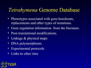 Tetrahymena Genome Database
• Phenotypes associated with gene knockouts,
  replacements and other types of mutations.
• Gene regulation information from the literature.
• Post-translational modifications.
• Linkage & physical maps
• DNA polymorphisms
• Experimental protocols
• Links to other sites


TIGR
 